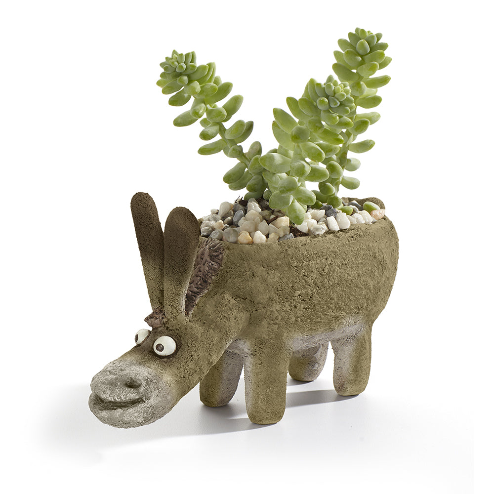 Festus the Donkey Planter, Standing