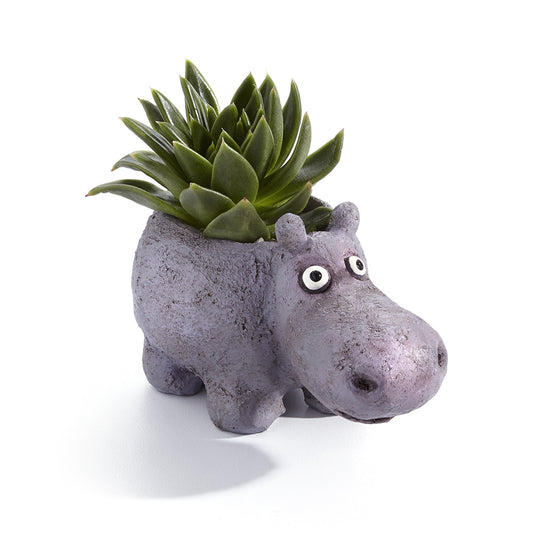 Hazel the House Hippo Planter