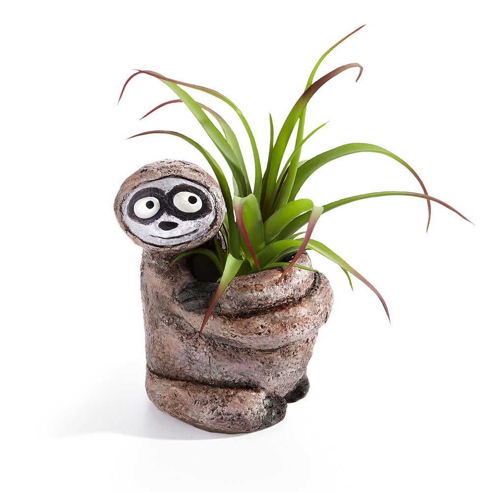 Bodhi the Sloth Planter, Sitting