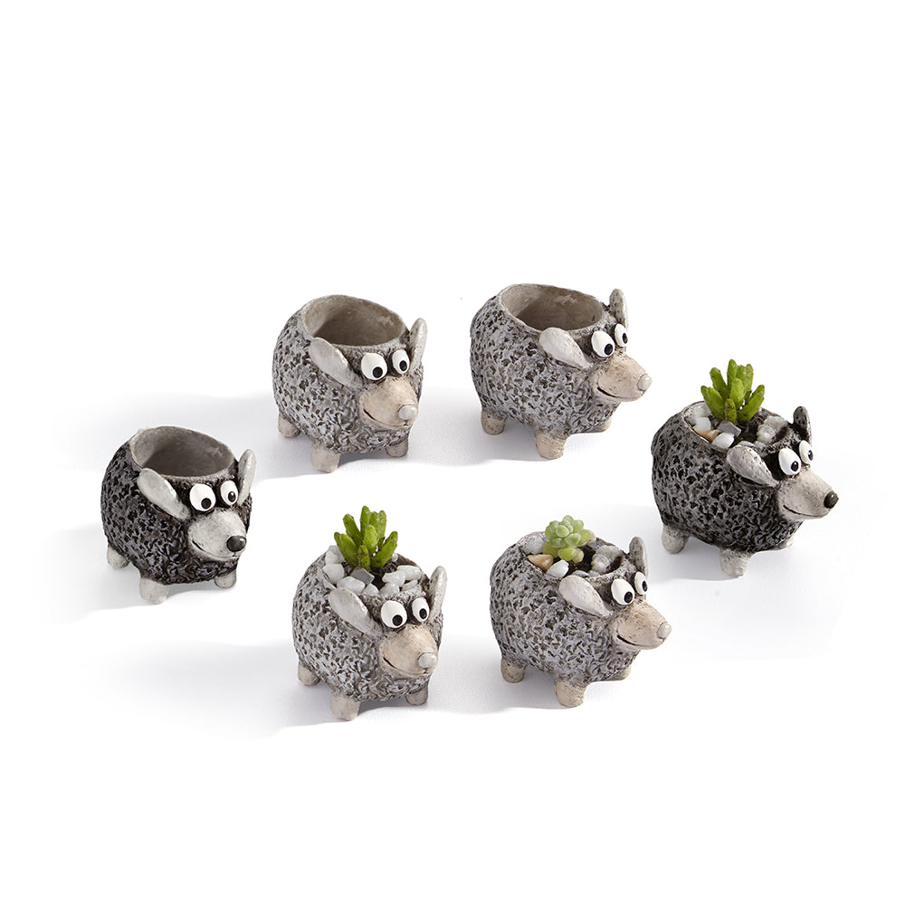 Mini Baby Lamb Planters, Set of 6