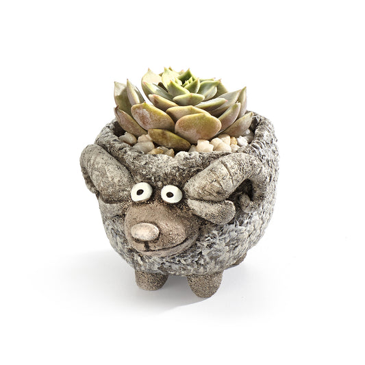 Wooliam the Ram Planter