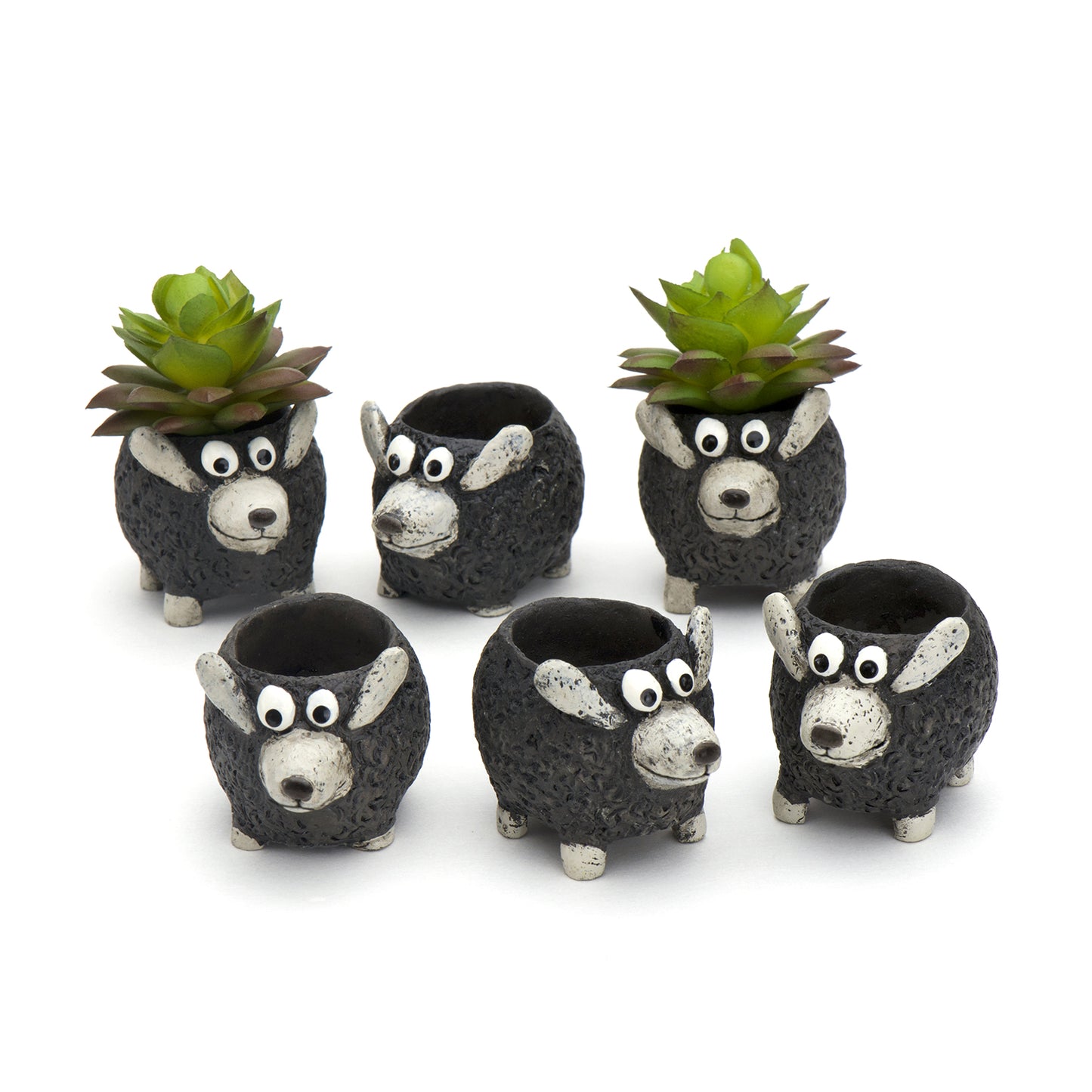 Mini Baby Black Lamb Planters, Set of 6