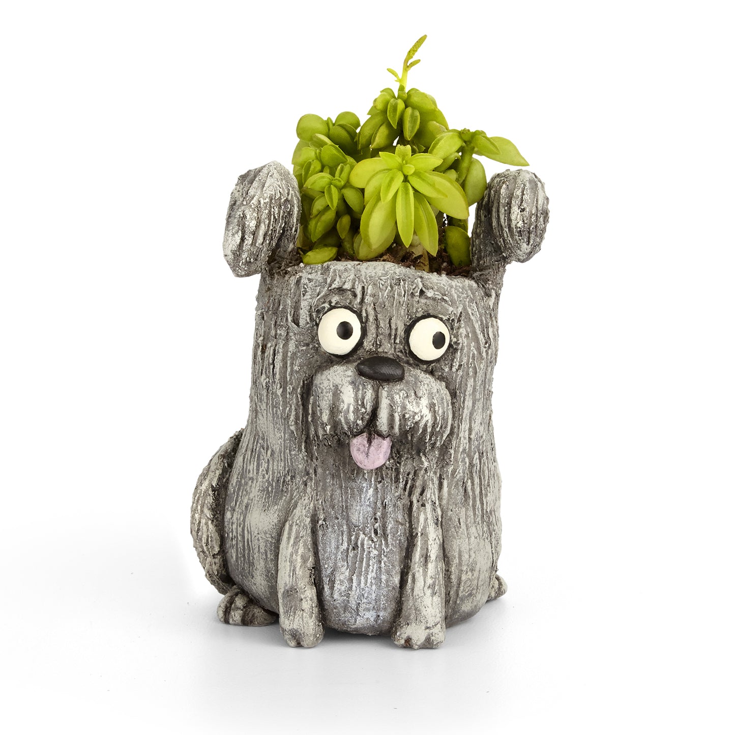 MacDuff the Dog Planter