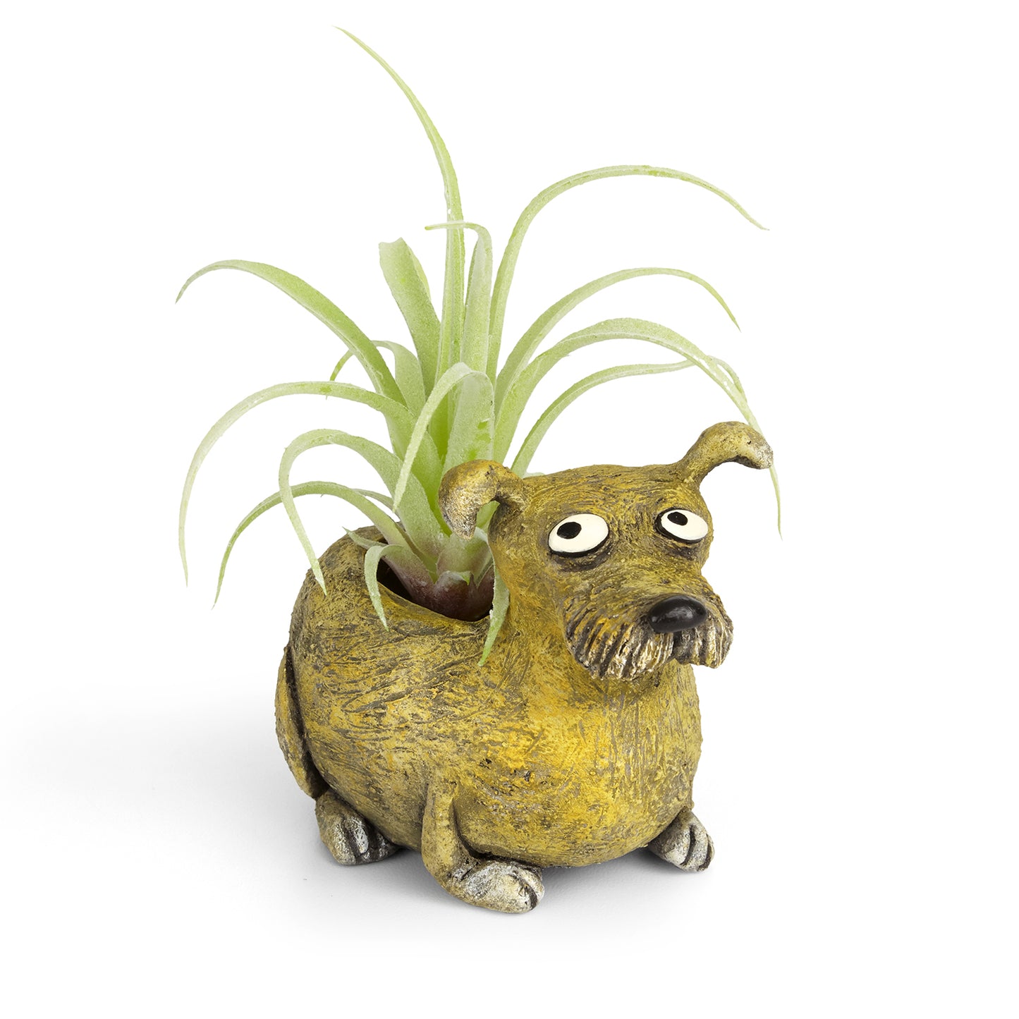 Charlie the Dog Blobhouse Planter