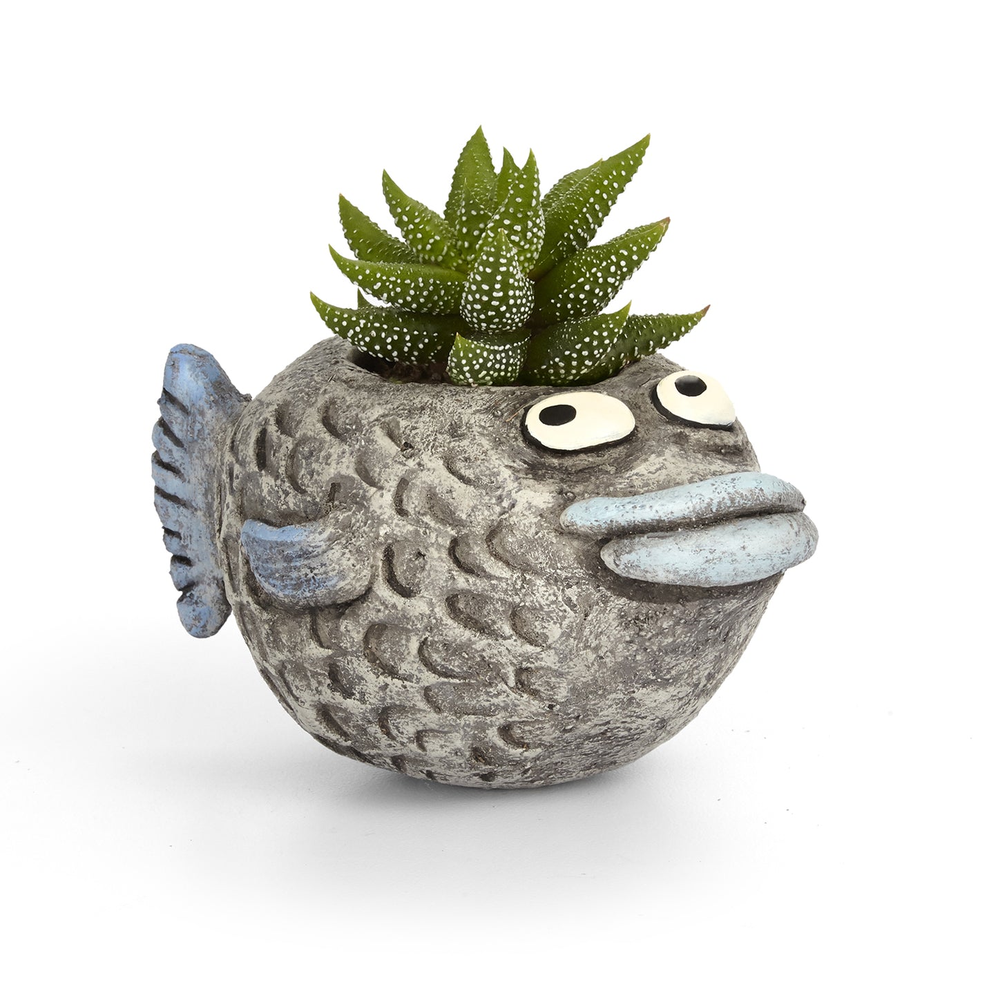 Delmar the Fish Planter