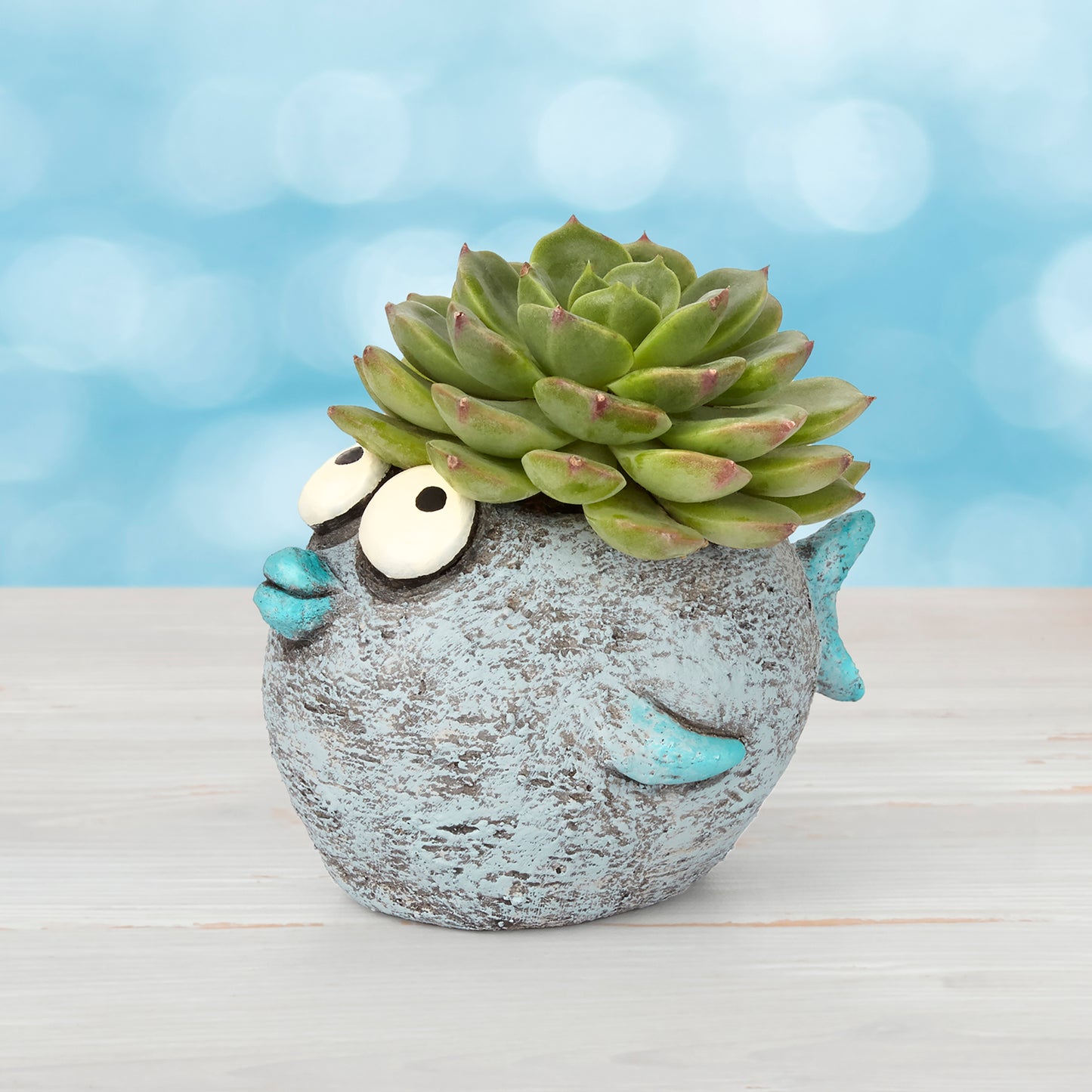 Bubbles the Fish Blobhouse Planter