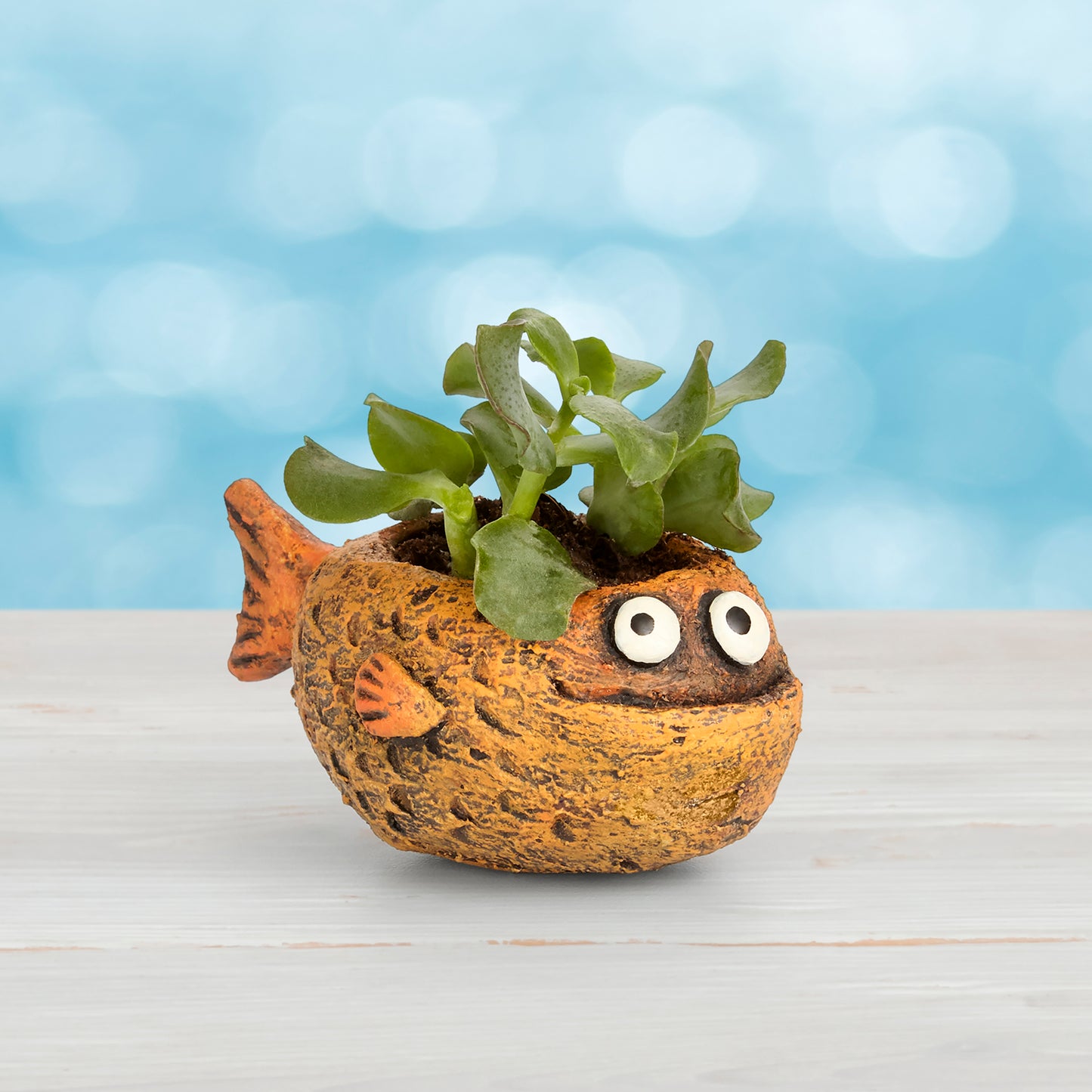 Mango the Fish Planter