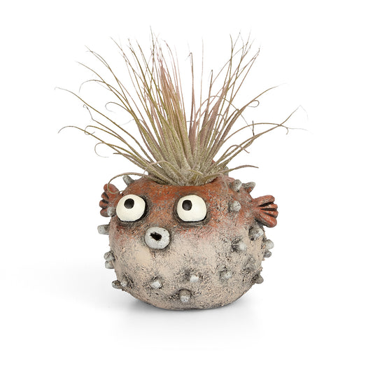 Sushi the Blowfish Planter