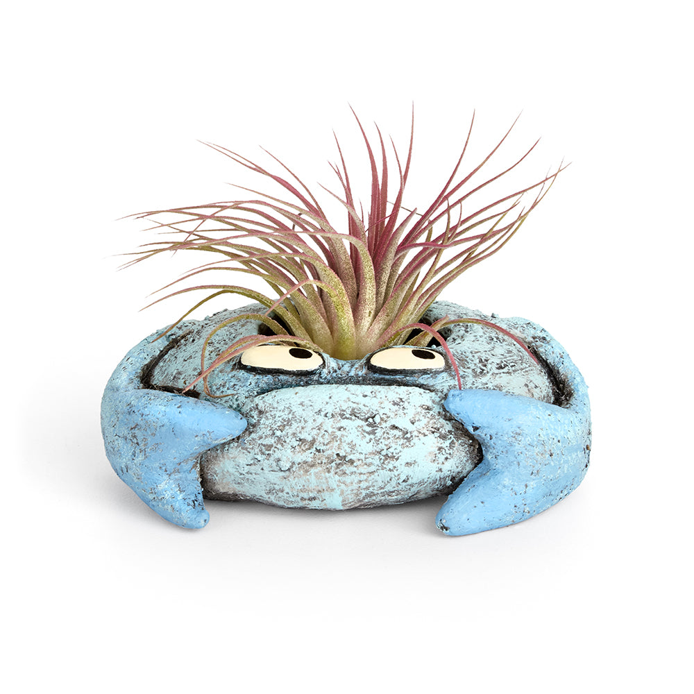 Krusty the Crab Planter