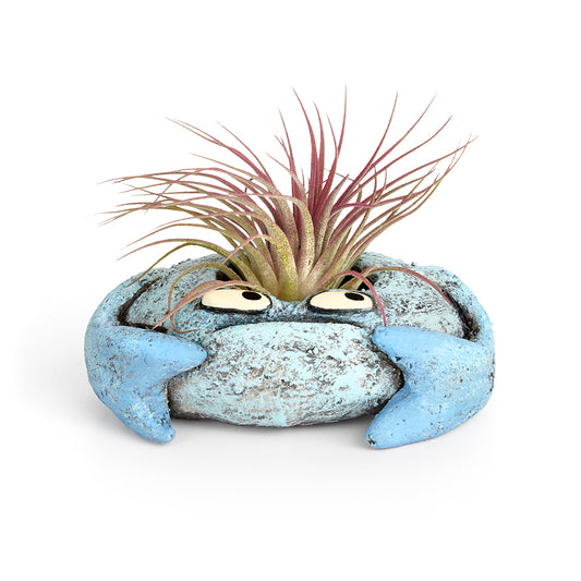 Krusty the Crab Planter