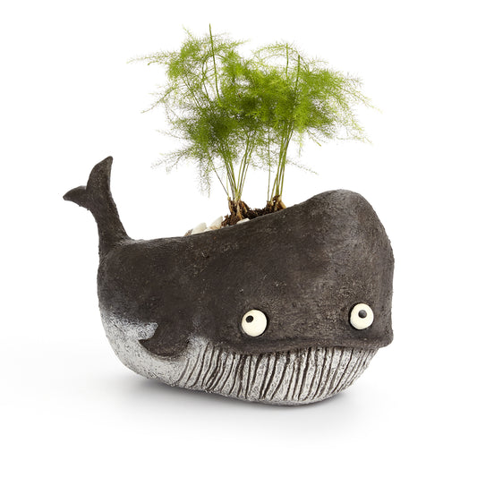 Goliath the Whale Planter