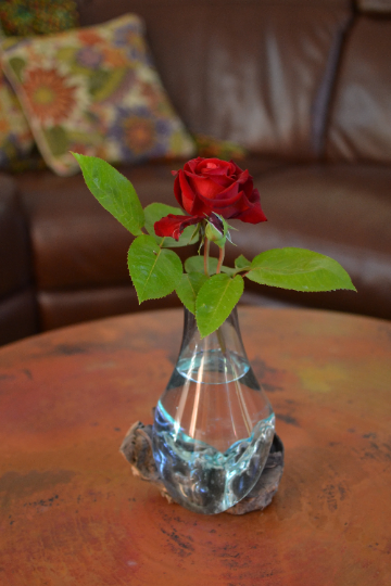 Molten Glass Vase on Gamal Root